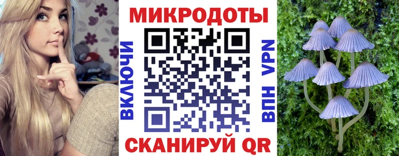 Галлюциногенные грибы GOLDEN TEACHER купить цена Володарск